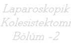 Laparoskopik Kolesistektomi Bölüm -2